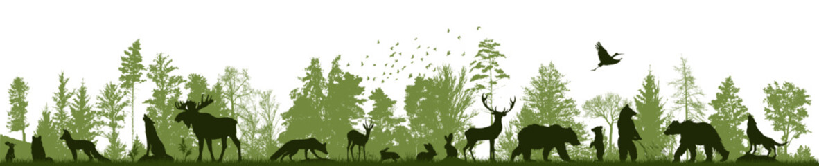 Green forest landscape with silhouettes of animals. Vector illustration