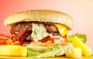 hamburger with fries