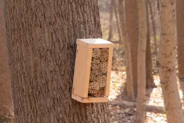This is an insect house that was put in by my area to try and increase the amount of pollinators in...