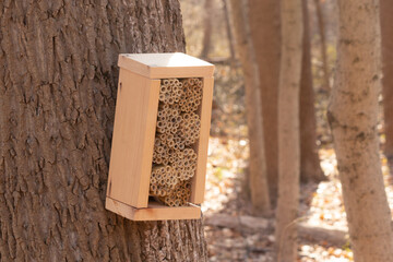 This is an insect house that was put in by my area to try and increase the amount of pollinators in...