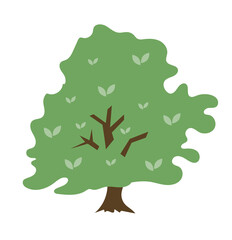 Green tree with lush crown. Plant for forest, garden and natural landscape. Illustration isolated design