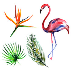 
Watercolor flamingo and tropical leaves isolated on white background.