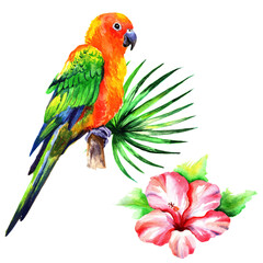 
Watercolor parrots and tropical leaves isolated on white background.