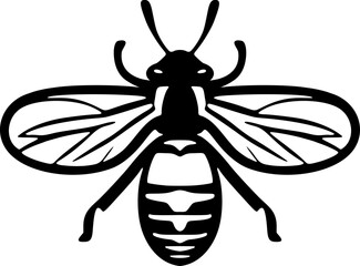 Wasp illustration design