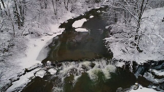 Aerial view. Flying up over a mountain wild clear river on a winter cloudy day. The trees on the banks are covered with snow. Carpathian landscape.