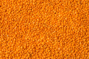 Raw Organic Red Lentils Legume