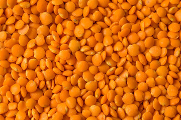 Raw Organic Red Lentils Legume