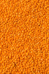 Raw Organic Red Lentils Legume