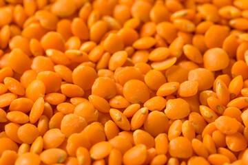 Raw Organic Red Lentils Legume