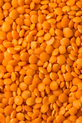 Raw Organic Red Lentils Legume