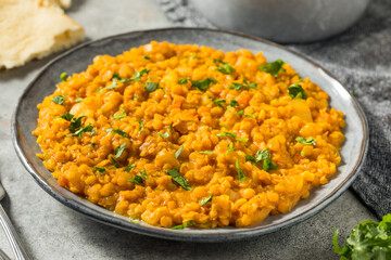 Homemade Lentil Dal with Rice