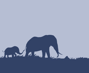Fototapeta premium Desgn of mother elephant with her son