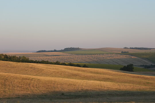 Agricultural fields in Bashkiria 2022