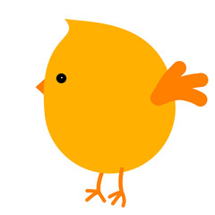 yellow chick on white