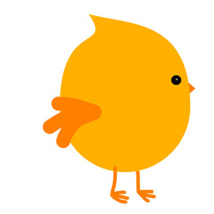 Easter chick illustration