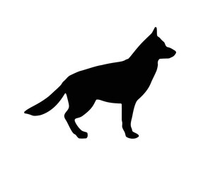 dog german shepherd silhouette