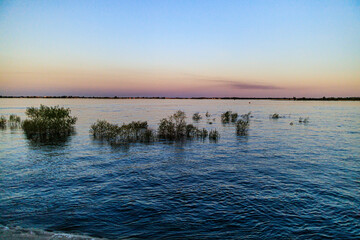 water reeds horizon sunset volgograd the volga river