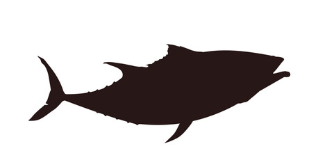 silhouette of a fish, tuna