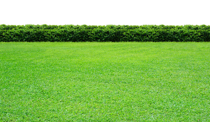 Green fence and grass on transparent background. PNG file.