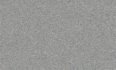 Fototapeta premium Abstract gray detailed texture background