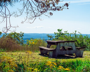 Picnic Table at 1750 feet