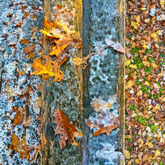 autumn leaves frozen on deck railing and ground