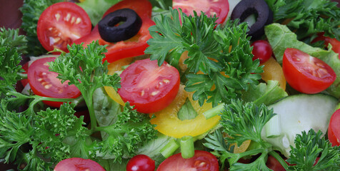 Tomato, cucumber, olives, parsley, pepper in salad close-up.