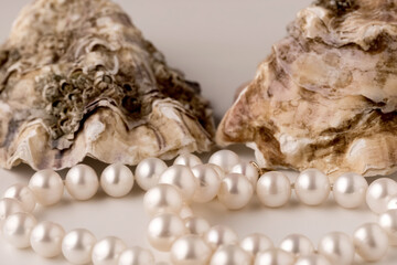 Fototapeta na wymiar shell with pearls close-up in soft light colors