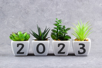 Inscription 2023 on white ceramic flowerpots with houseplants. Merry Christmas and happy new year concept.