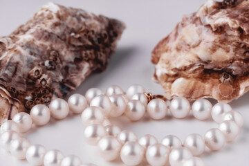 shell with pearls close-up in soft light colors