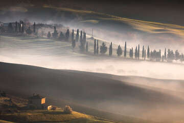Foggy morning in Tuscany. Val d'Orcia, Pienza, Italy