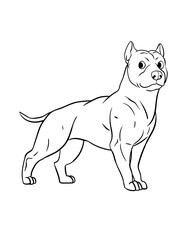 Obraz na płótnie Canvas Pit Bull Isolated Coloring Page for Kids