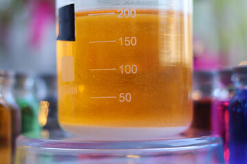 A white precipitate of calcium oxalate in a neutral environment settled at the bottom of the beaker.