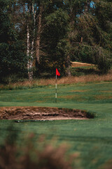 Golf hole in forest