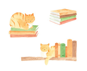 Watercolor cat on the bookshelf - cute hand-drawn illustration for book lover - obrazy, fototapety, plakaty