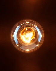 One lit incandescent light bulb