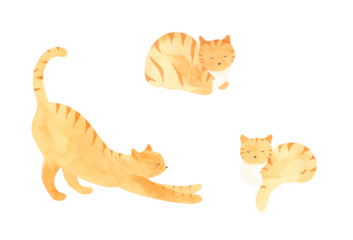 Watercolor cats hand drawn illustration - black cat, red cat, brown cat, kitten on isolated png white background of sleeping, standing, play kitty