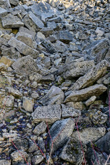 Steinbruch Kleinochsenfurt am Maintalhang Kleinochsenfurter Berg, Ochsenfurt, Franken, Bayern,...