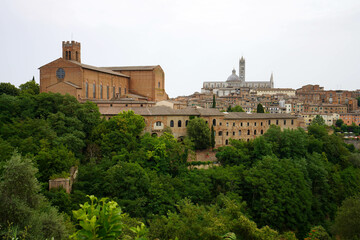 Fototapeta na wymiar Beautiful cityscape of the historic medieval town of Siena, Tuscany, Italy