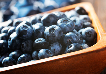 Freshly picked blueberries in wooden bowl. Juicy and fresh blueberries