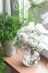 Asparagus cloves and white chrysanthemums in a glass vase.