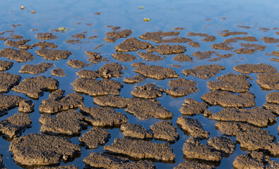 Reduction of water in the reservoir. Earth cracked because of drought. The global shortage of water on the planet. Global warming concept.