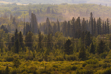 nature sceneries inside the Glenmore Park, Calgary, Alberta, Canada