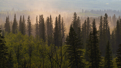 Obraz premium nature sceneries inside the Glenmore Park, Calgary, Alberta, Canada