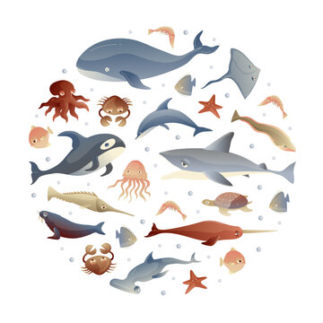 Sea Life and Creature Round Composition Design Vector Template