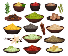 Set of herbs spices in ceramic bowls set. Assorted dried seasoning condiments cartoon vector illustration