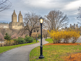 Central Park in spring