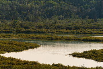 Glenmore Park nature sceneries, Calgary, Alberta, Canada
