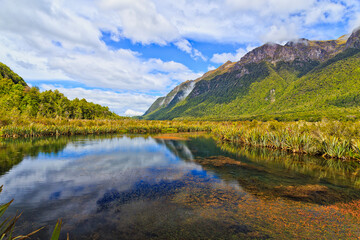 NZ Mirror lake vale moss