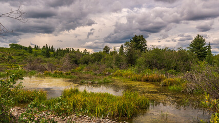 Glenmore Park nature sceneries, Calgary, Alberta, Canada